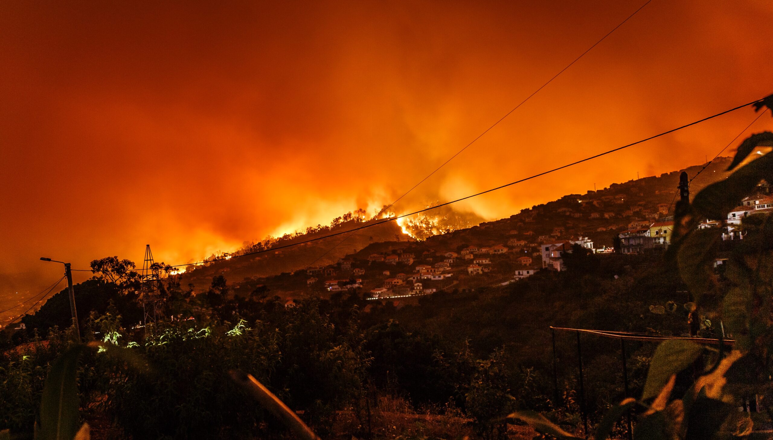 Wildfire Preparedness & Defensible Space